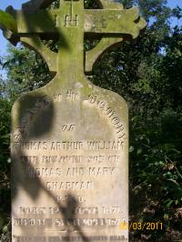 click to view detail