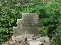 click to view detail