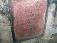 click to view detail