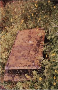 Gravestone of Frances Mary Molesworth