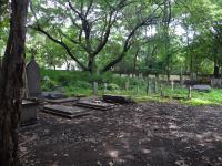 Photo by Michael Brock