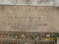 click to view detail