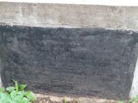 Photo by Michael Brock