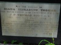 Photo by Michael Brock