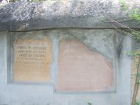 click to view detail