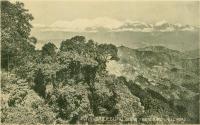Darjeeling - Snow from Birch Hill Road