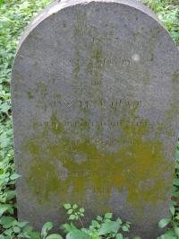 Photo by Michael Brock