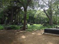 Photo by Michael Brock