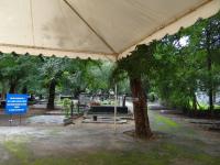 Photo by Michael Brock