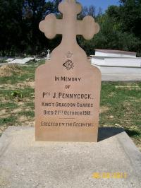 click to view detail