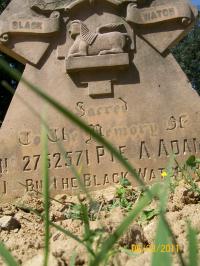 click to view detail