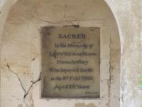 click to view detail