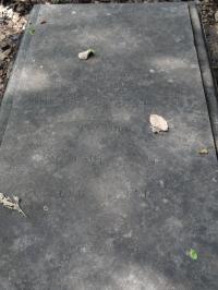 Photo by Michael Brock