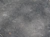 Photo by Michael Brock