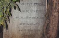 click to view detail