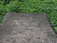 Photo by Michael Brock