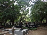 Photo by Michael Brock