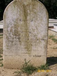 click to view detail