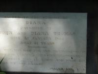 Photo by Michael Brock