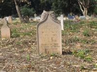 click to view detail