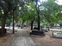 Photo by Michael Brock