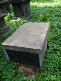 Photo by Michael Brock