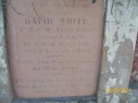 click to view detail