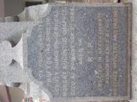 click to view detail