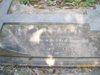 click to view detail