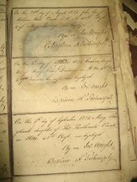 click to view detail