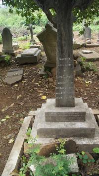 click to view detail