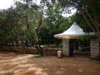 Photo by Michael Brock