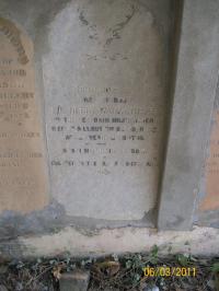 click to view detail