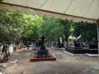 Photo by Michael Brock