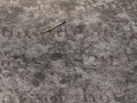 Photo by Michael Brock