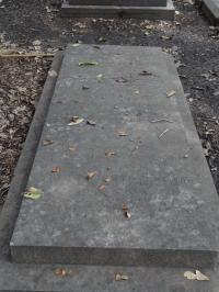 Photo by Michael Brock