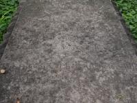 Photo by Michael Brock