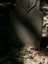 click to view detail