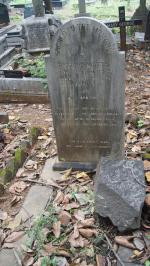 click to view detail