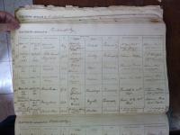 click to view detail