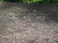 Photo by Michael Brock