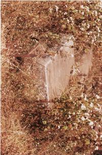 Gravestone of John W. Woodhouse