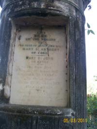 click to view detail