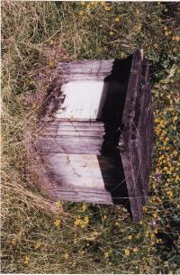 Gravestone of Henry Robbins Muzzy
