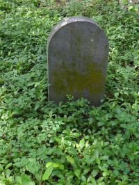 Photo by Michael Brock