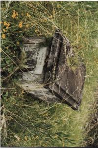 Gravestone of Charles Babington Johnson