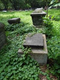 Photo by Michael Brock