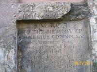 click to view detail