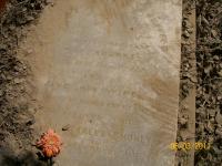 click to view detail