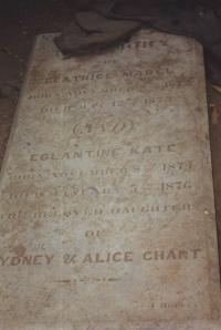 click to view detail